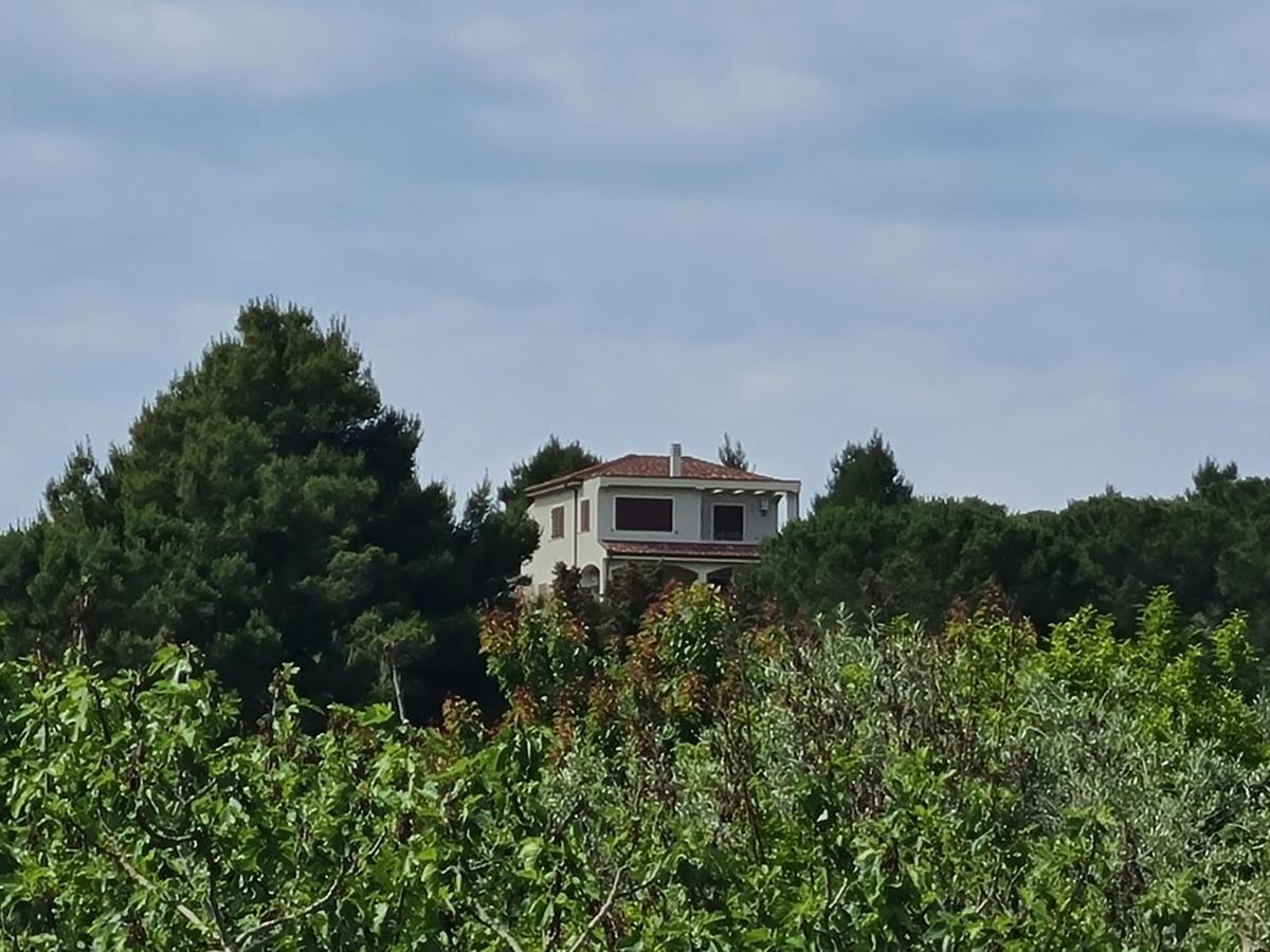Alghero - House With Panoramic View Immersed In Full Nature ภายนอก รูปภาพ