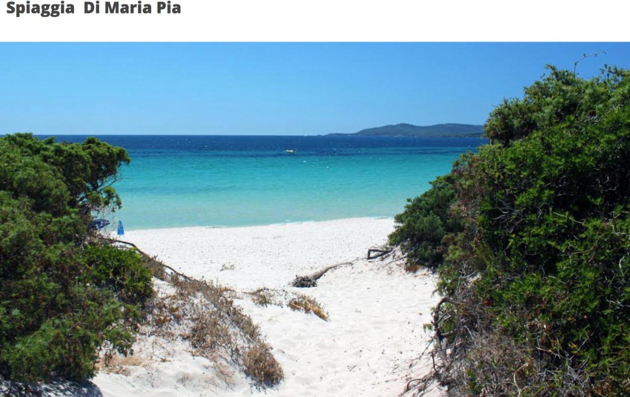 Alghero - House With Panoramic View Immersed In Full Nature ภายนอก รูปภาพ